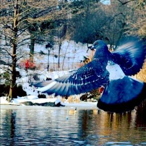 Meet your Posher, Farboud